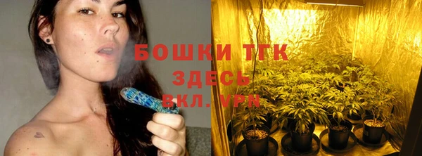 бошки Аркадак