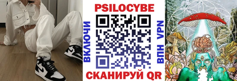 Псилоцибиновые грибы мицелий  где купить наркотик  blacksprut ССЫЛКА  Сясьстрой 
